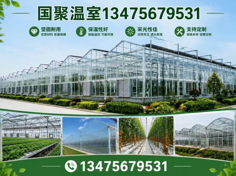坊子区玻璃温室展示图
