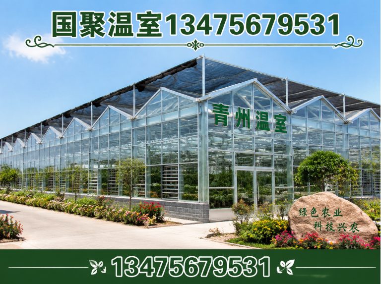 坊子区温室大棚厂家展示图